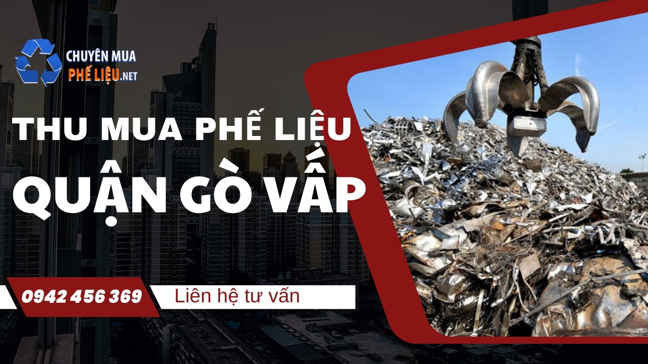 thu mua phelieu go vap